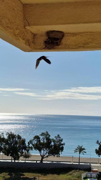 Apartamento 3 Habitaciones Con Piscina Y Vistas Al Mar Benicassim Exterior photo